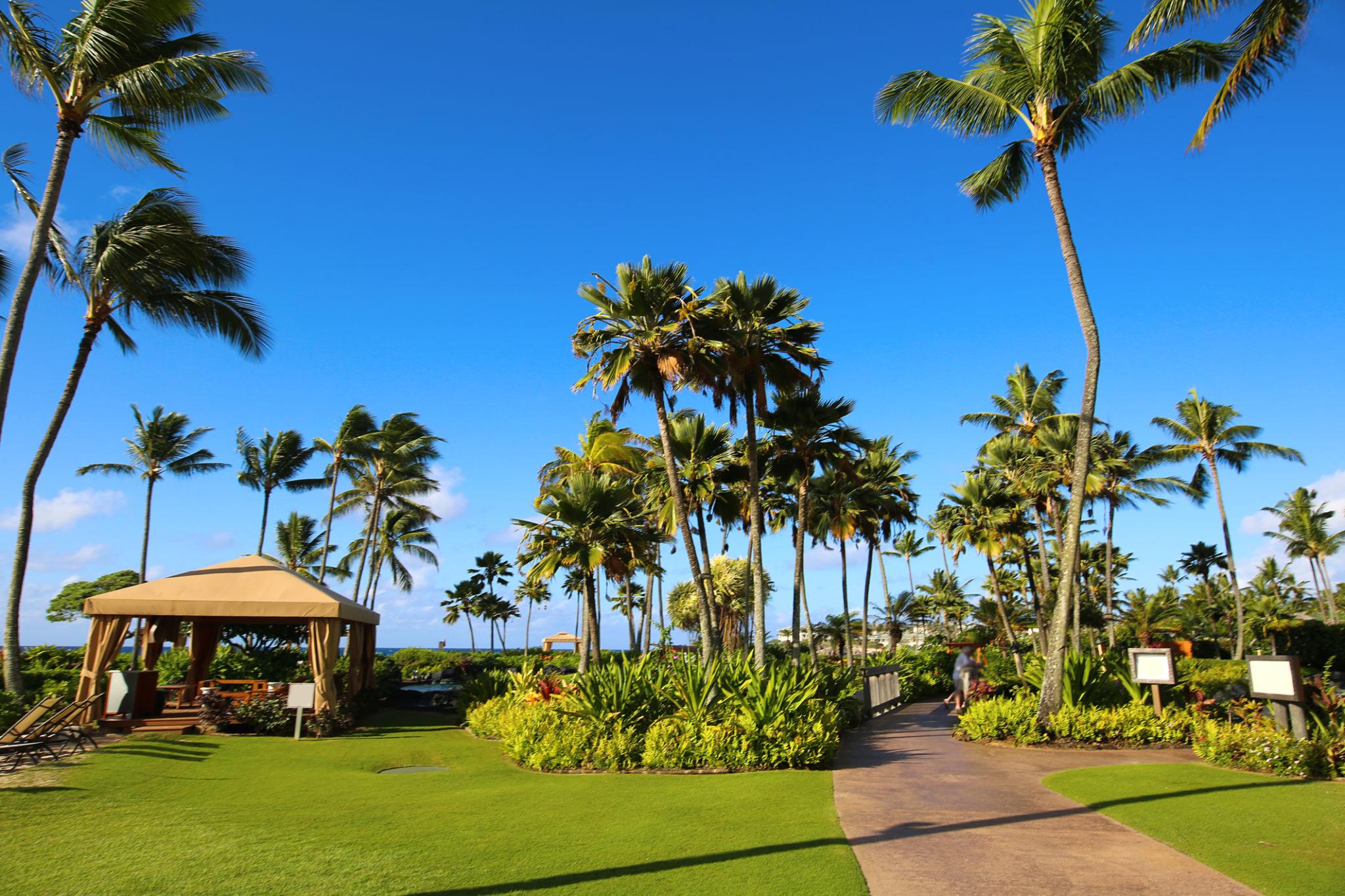 Hawaii